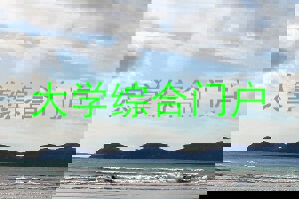 大学综合门户