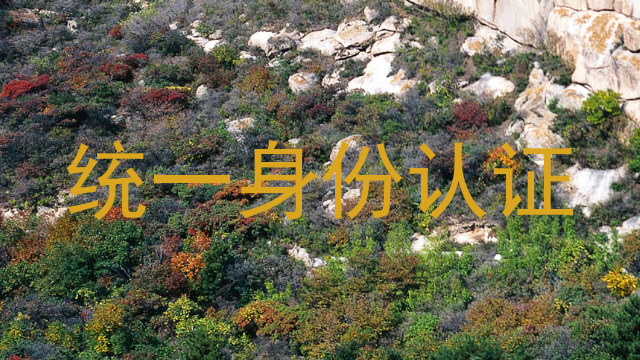 统一身份认证