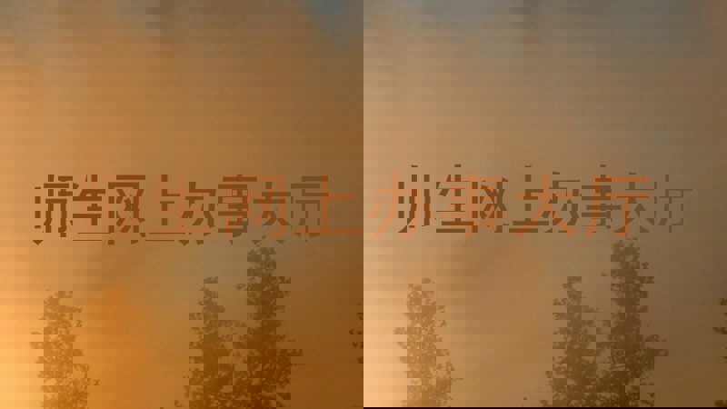 师生网上办事大厅