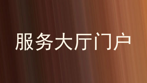 服务大厅门户