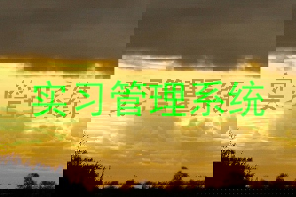 实习管理系统