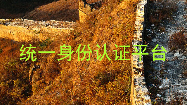 统一身份认证平台