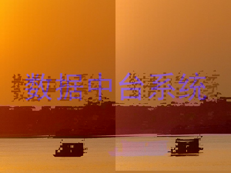 数据中台系统