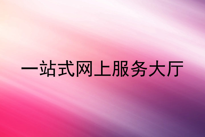 一站式网上服务大厅