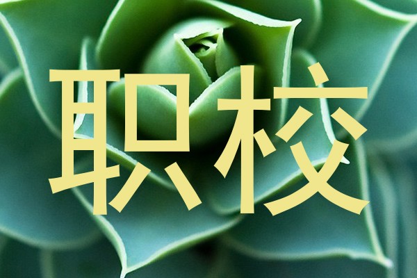 职校