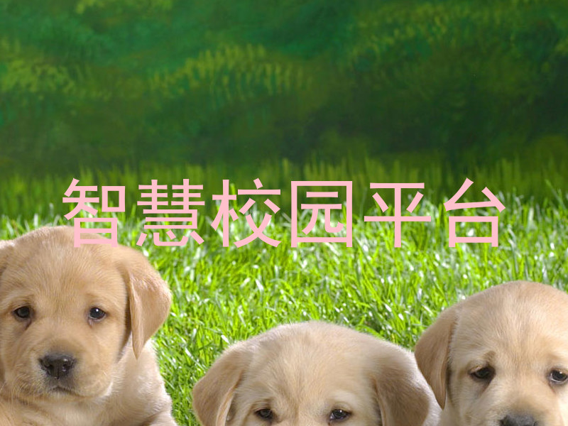 智慧校园平台
