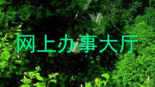 网上办事大厅