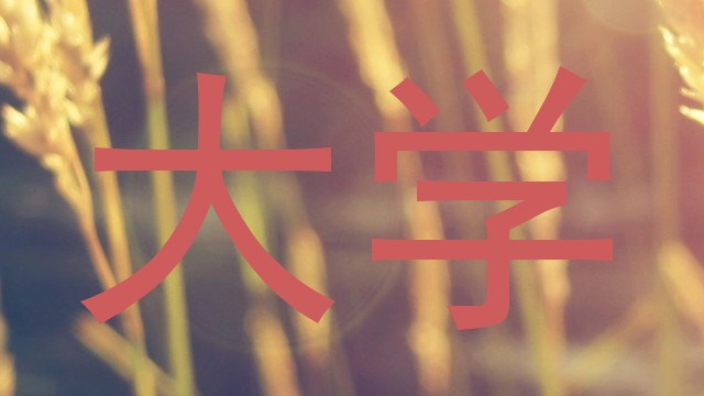 大学