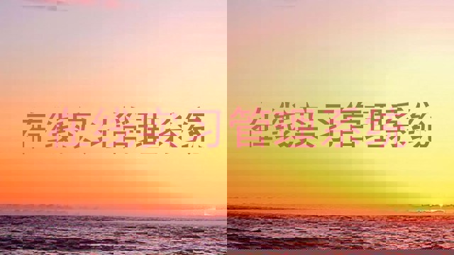 在线实习管理系统