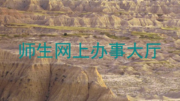 师生网上办事大厅