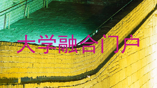 大学融合门户