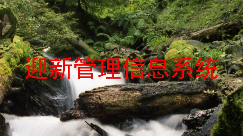 迎新管理信息系统