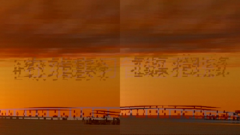 在线实习管理系统