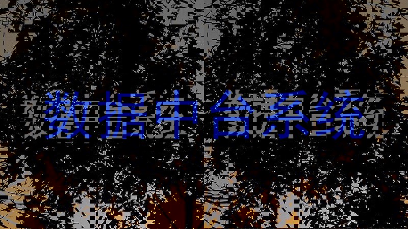 数据中台系统