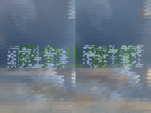 研究生管理