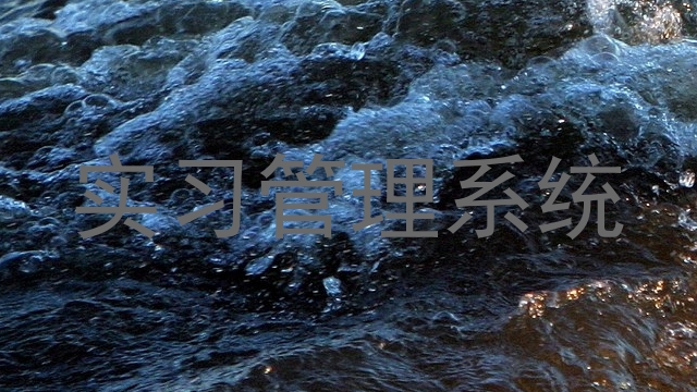 实习管理系统