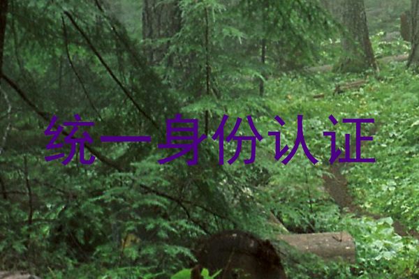 统一身份认证