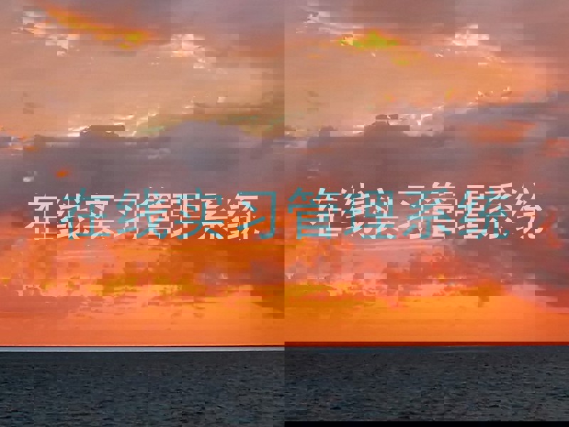 在线实习管理系统