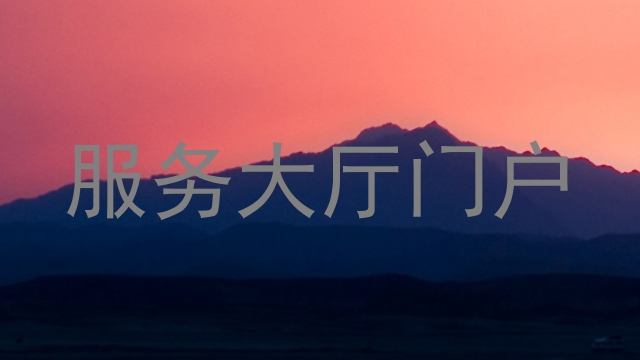 服务大厅门户