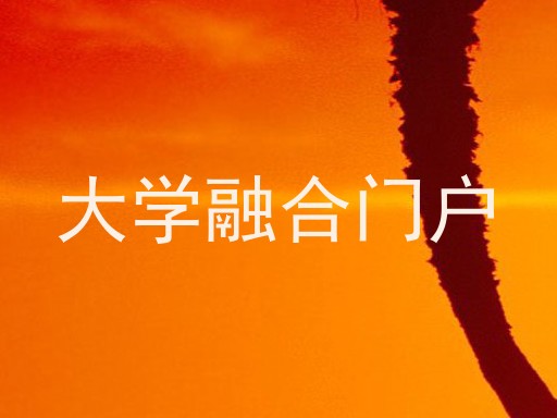 大学融合门户
