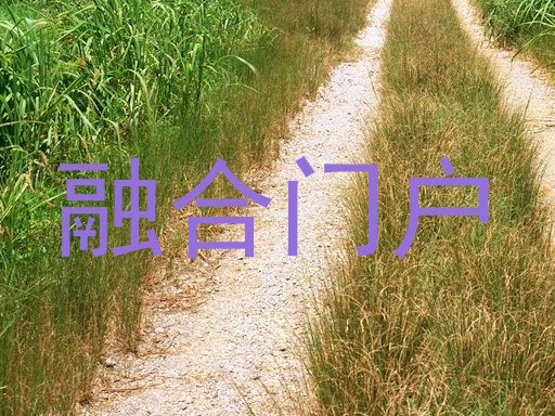 融合门户