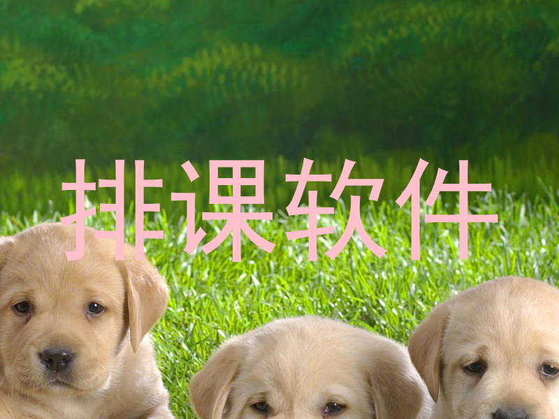 排课软件