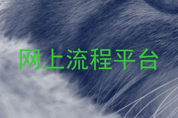 网上流程平台