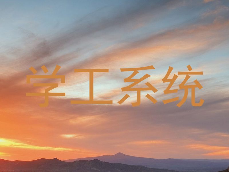 学工系统