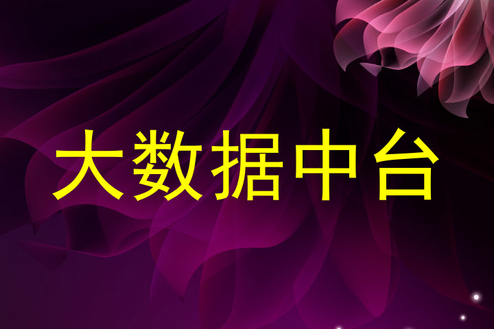 大数据中台