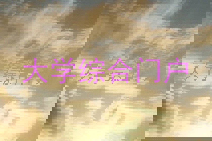 大学综合门户