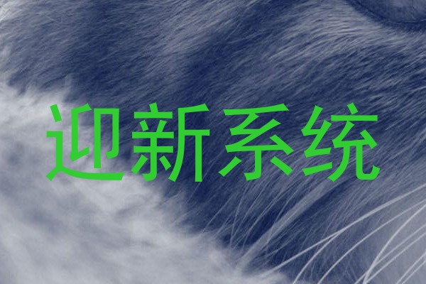 迎新系统
