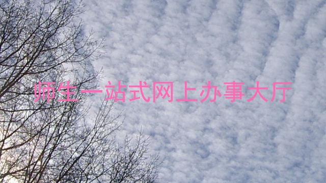 师生一站式网上办事大厅