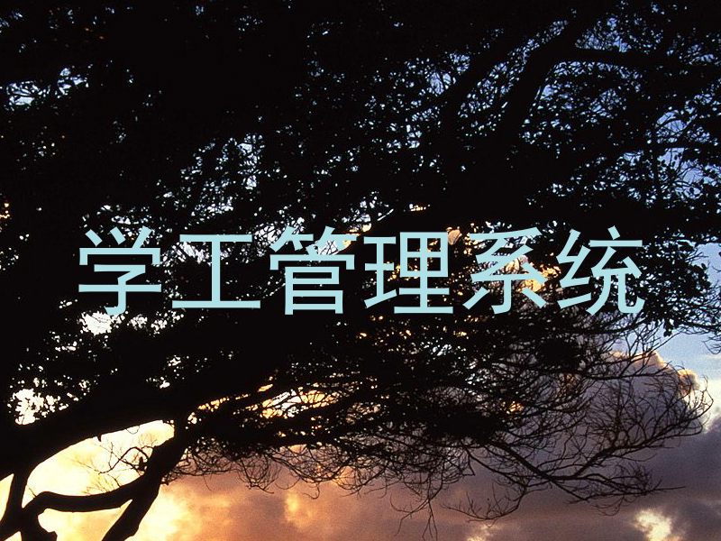 学工管理系统
