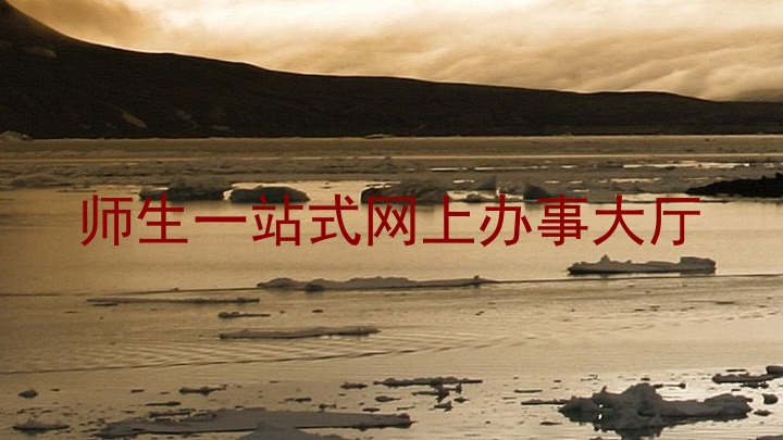 师生一站式网上办事大厅