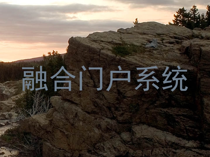 融合门户系统