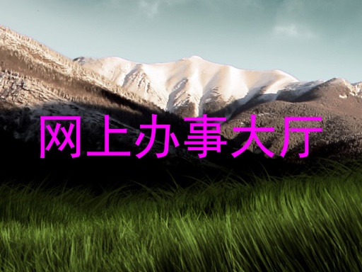 网上办事大厅