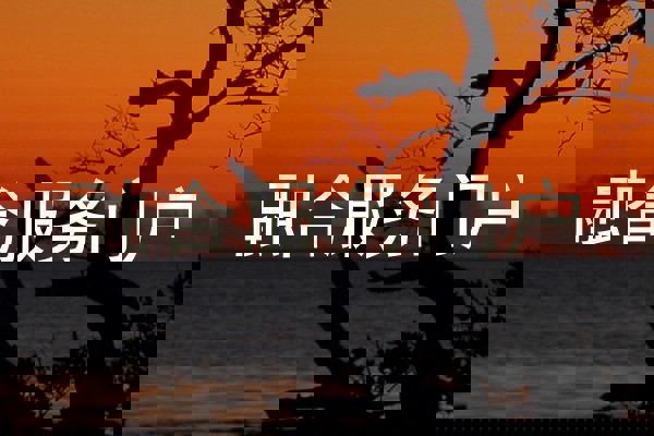 融合服务门户