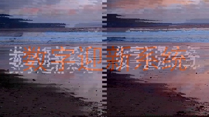 数字迎新系统