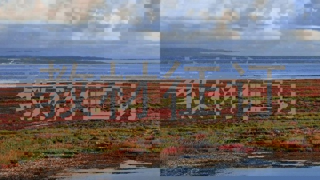 教材征订