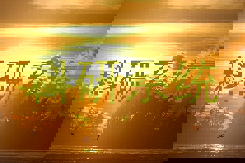 科研系统