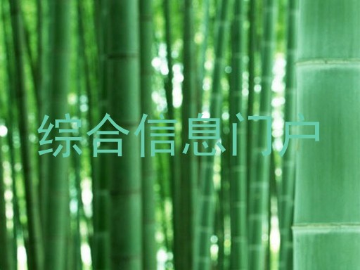 综合信息门户
