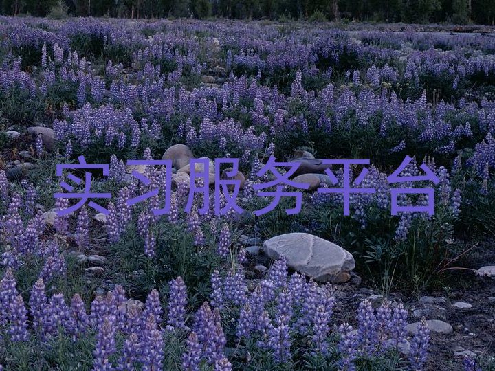 实习服务平台