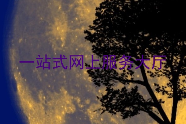 一站式网上服务大厅