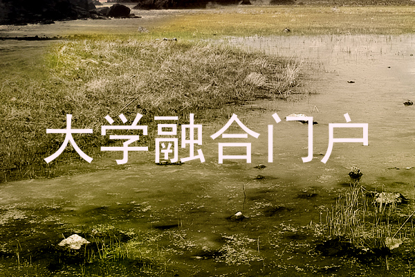 大学融合门户