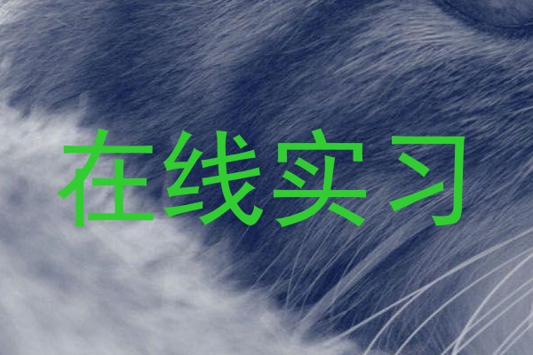 在线实习
