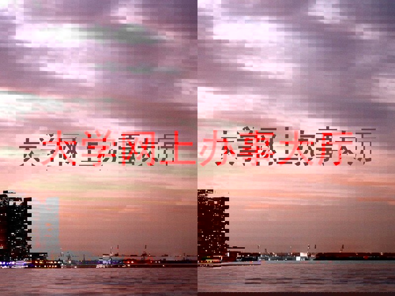 大学网上办事大厅