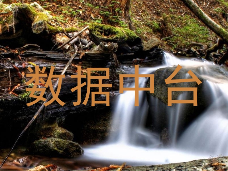 数据中台