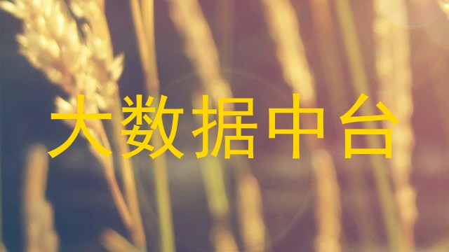 大数据中台
