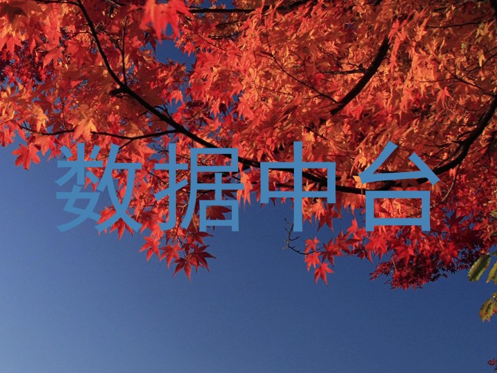 数据中台