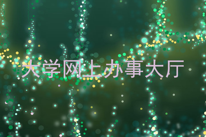 大学网上办事大厅